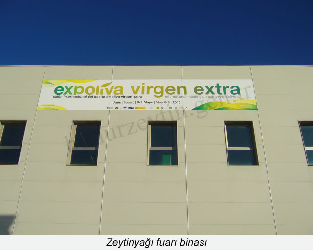 Expoliva-bina